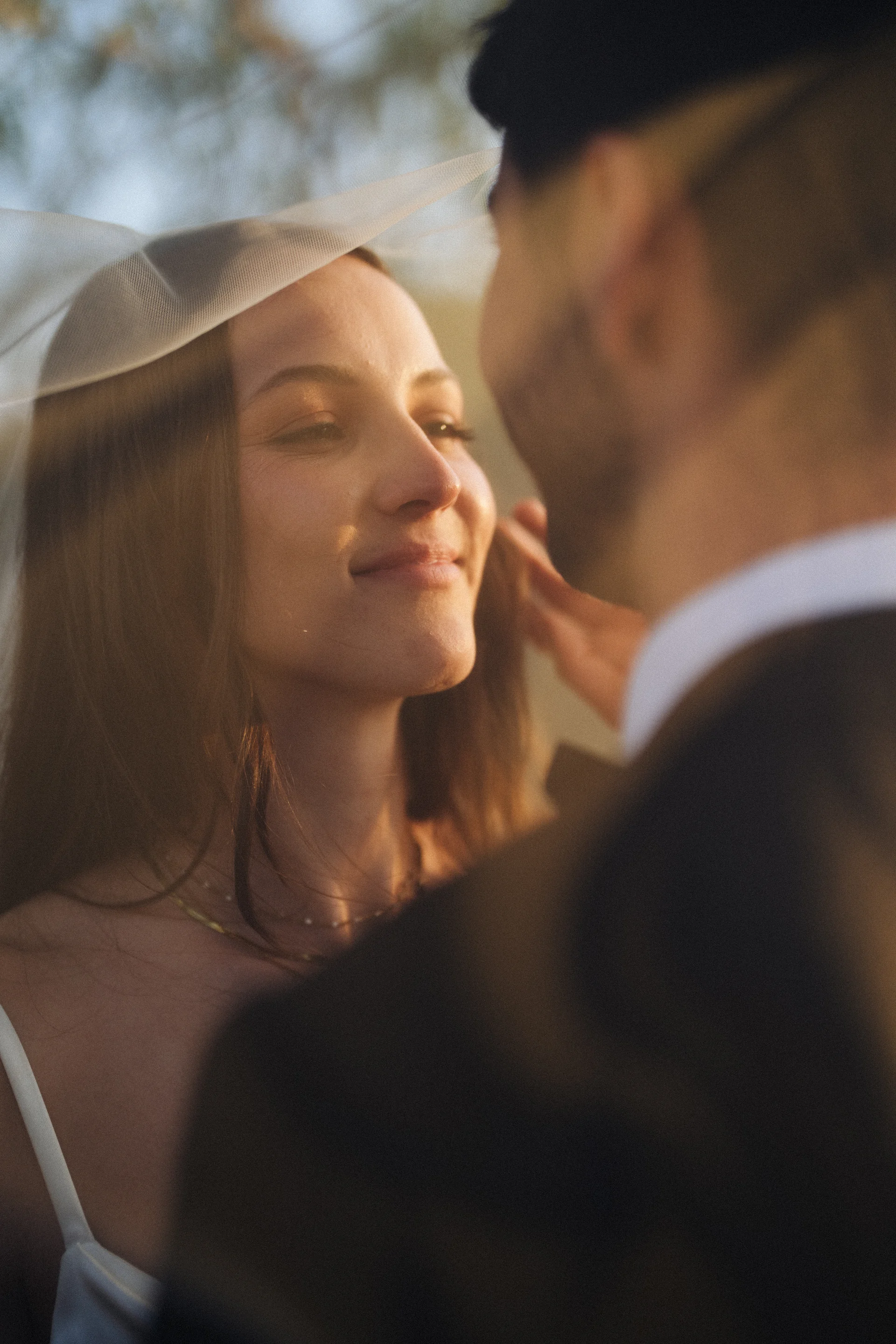 Through the veil, A hand to her cheek