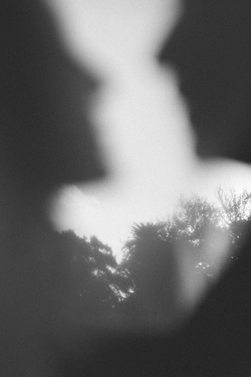A figure and trees in a soft double exposure